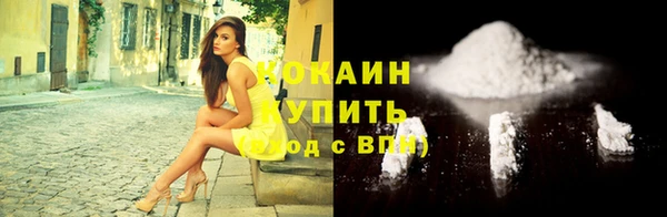 сатива Волоколамск