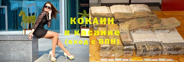 сатива Волоколамск