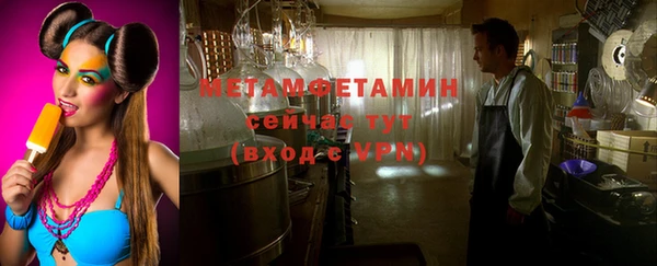 сатива Волоколамск