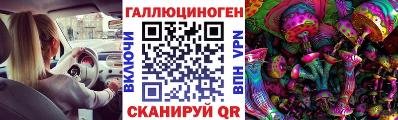 Псилоцибиновые грибы GOLDEN TEACHER  закладка  Лысково 